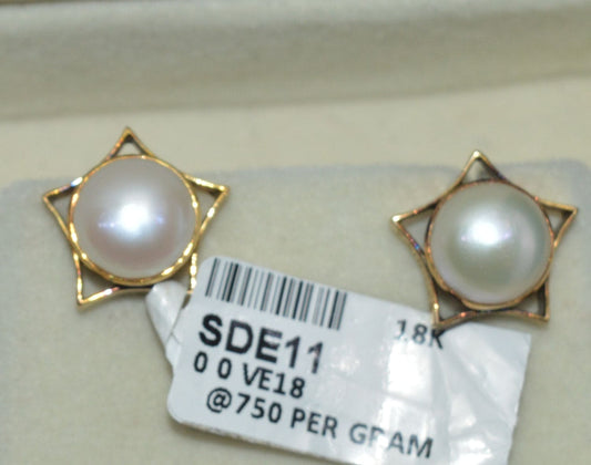 SDE11