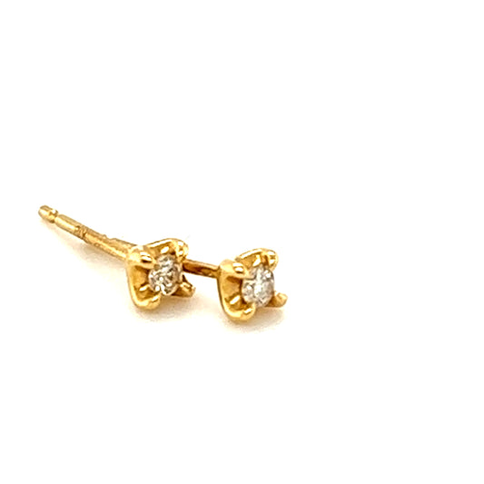 Gold studs